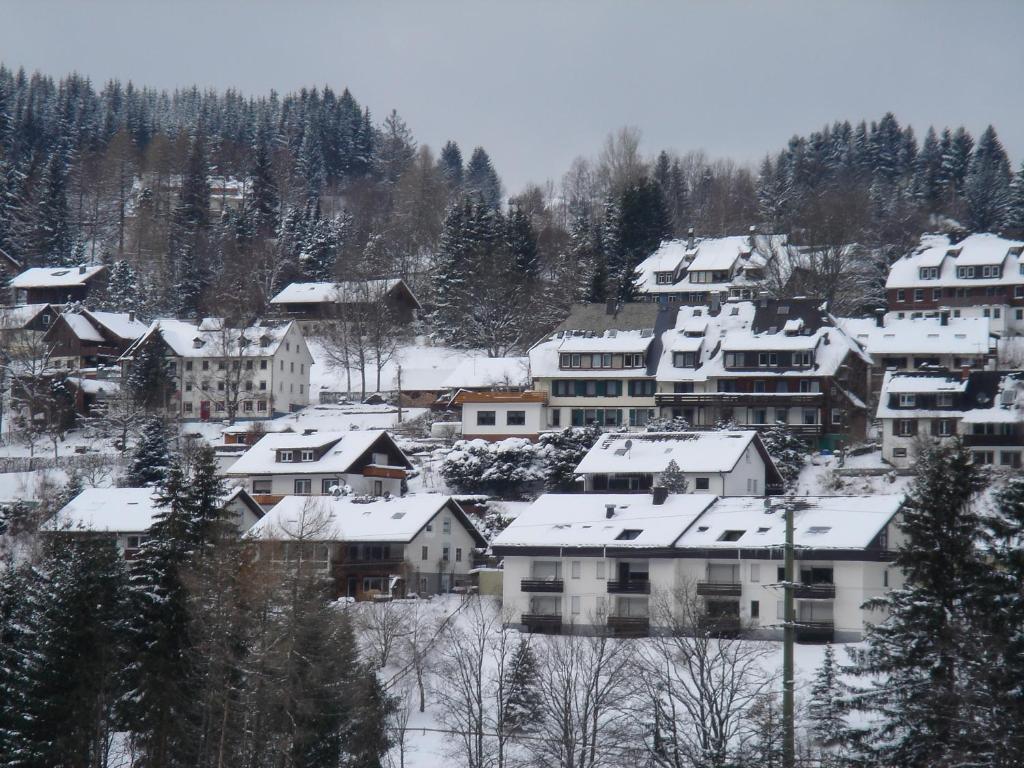 Pension Restaurant Waldblick Feldberg (Baden-Wurttemberg) Ngoại thất bức ảnh