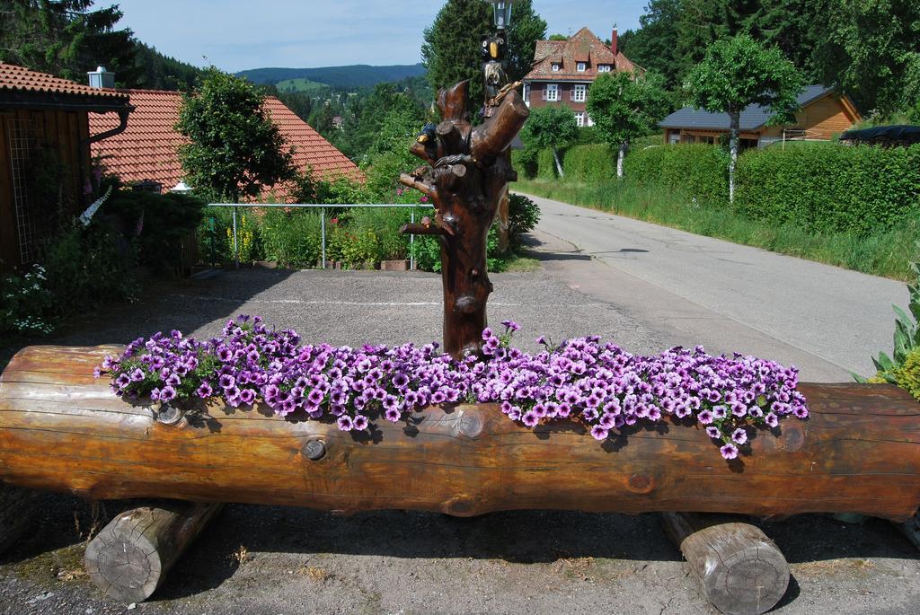 Pension Restaurant Waldblick Feldberg (Baden-Wurttemberg) Ngoại thất bức ảnh